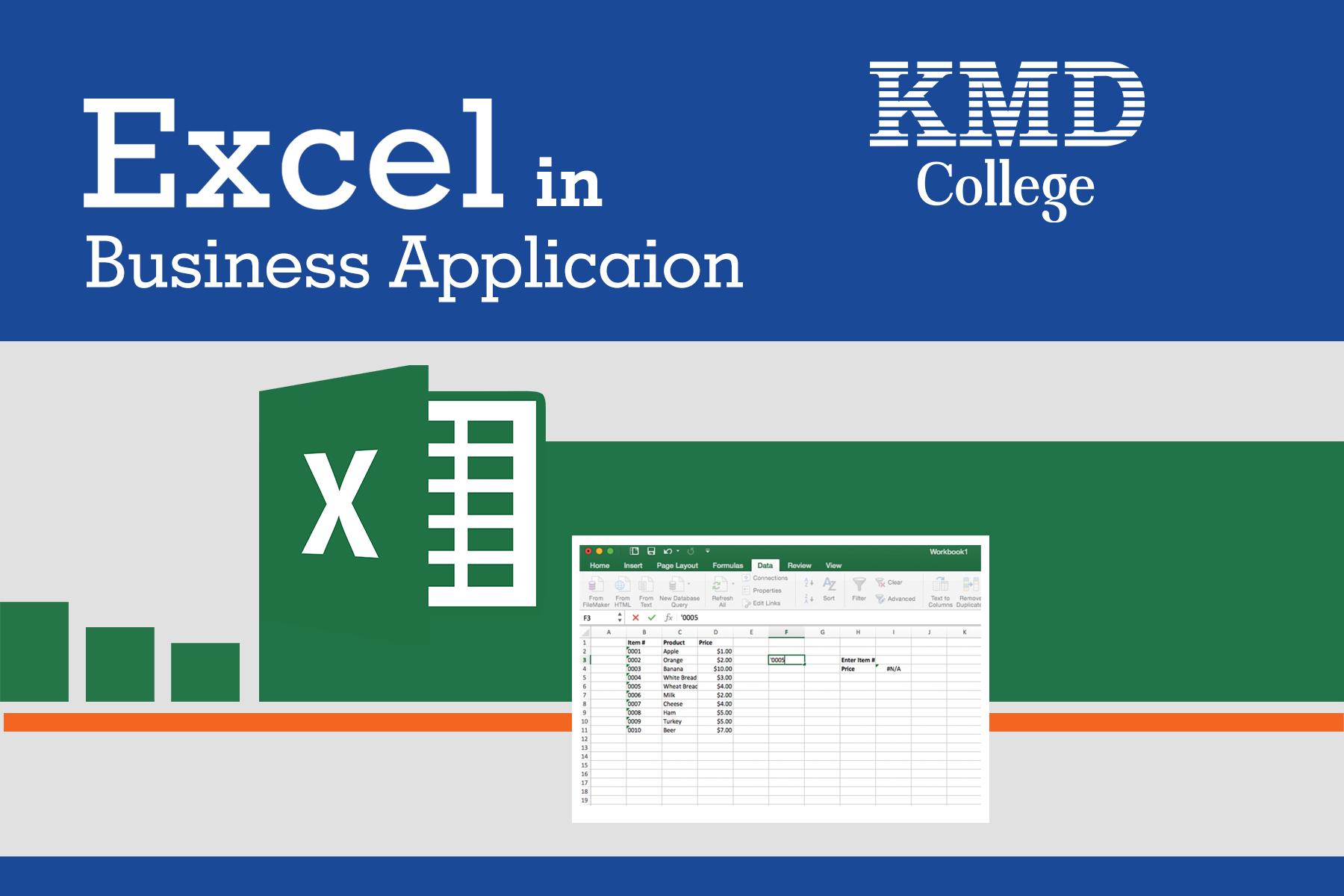 Excel in Business Application
